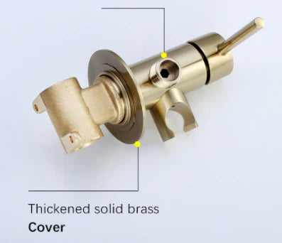 Brushed Gold Bidet #20132 - Image 6